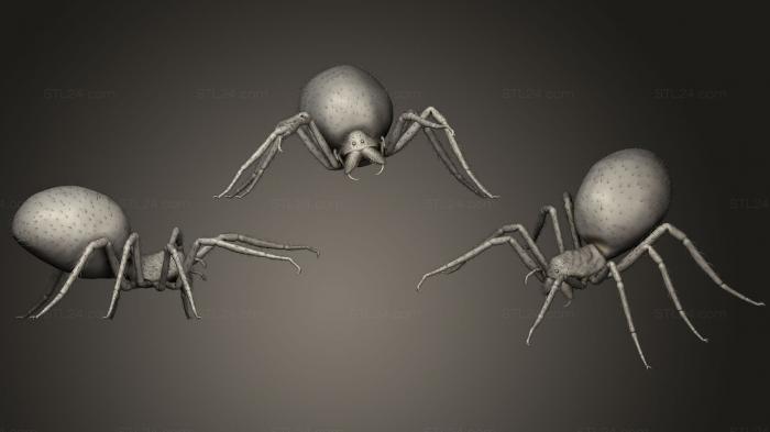 Insects (Spider, INSCT_0029) 3D models for cnc
